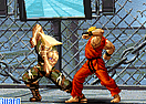 Street Fighter Flash